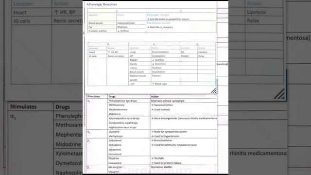 Adrenergic Receptor & Alpha1,2 & Beta2 Blockers смотреть онлайн