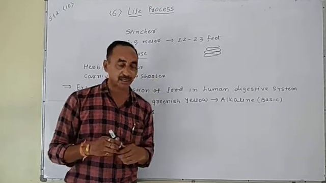 Science video-6 standard-10 chapter-6 (Life process) смотреть онлайн