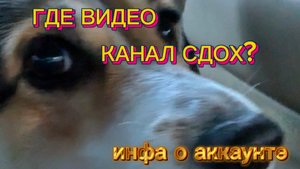 ПОЧЕМУ НЕТ ВИДЕО!?? АККАУНТ ЗАМОРОЖЕН?!ИНФА про АККАУНТ