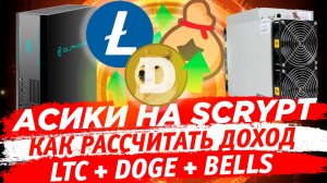 Как рассчитать доходность и окупаемость на асиках LTC, DOGE, BELLS  Antminer L7 L9 Elphapex DG1 и др