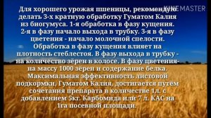 Фазы внесения, Гумата Калия по пшенице.