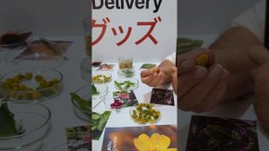 Форум Биопром в Геленджик-Арена, октябрь 2024