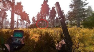 Сталкер Аномали Стрим