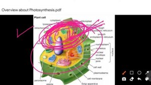 Part 1 ।। Photosynthesis in the plant ( Overview)