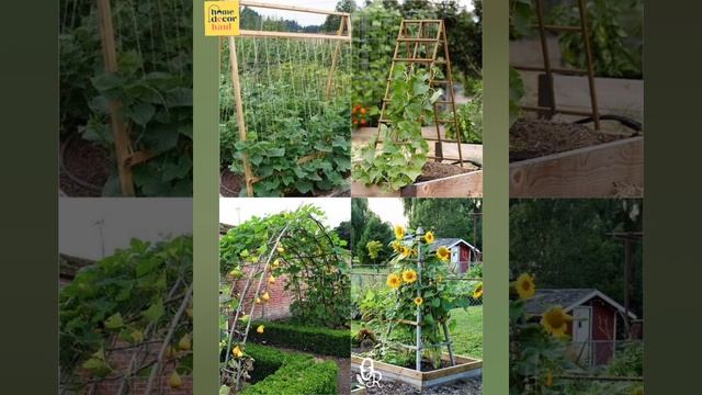 Vegetable Garden Design Ideas Backyard | Vegetable Garden Plans | Home Decor Haul | 2021 смотреть онлайн