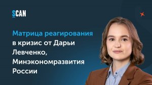 Матрица реагирования в кризис от Дарьи Левченко, Минэкономразвития России