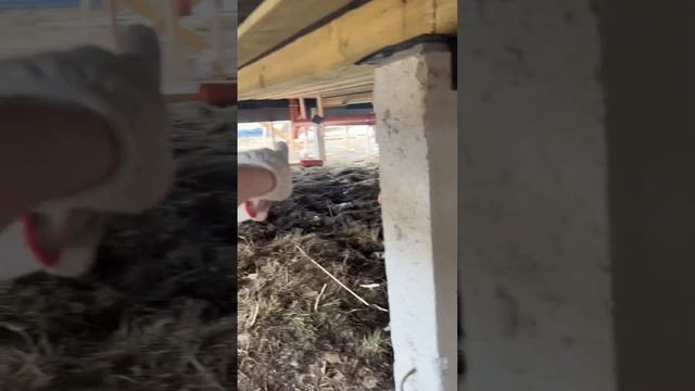 строительство каркасного дома