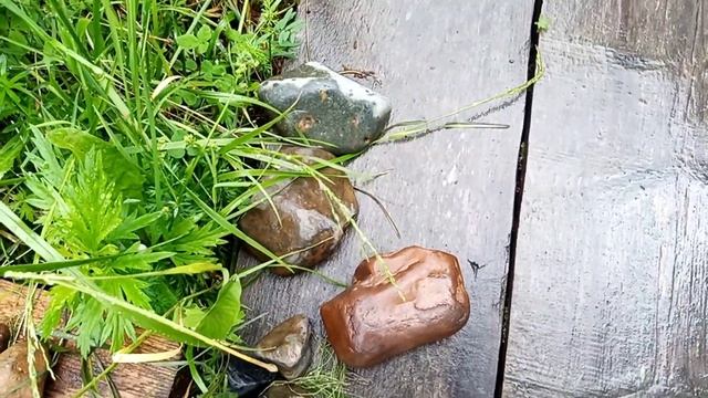 Помощница.И какова цена одной полешки?