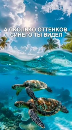 Отправь тому с кем хочешь увидеть всё оттенки синего 💙
А так же не забудь поставить 💙