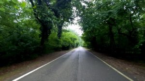 4695859-uhd_3840_2160_30fps