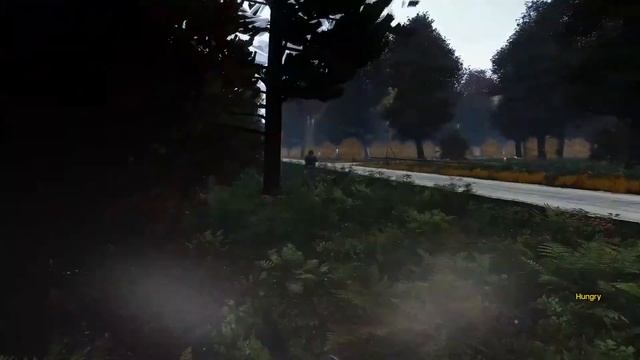 S.T.A.L.K.E.R. 2, Deep Zone. смотреть онлайн