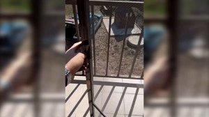 Какую москитную сетку выбрать?