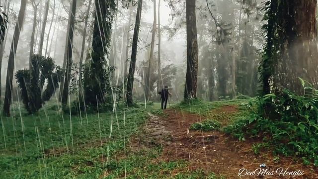 HEAVY RAIN SOLO CAMPING VIDEO COMPILATION 2 - SETTING UP A TENT UNDER HEAVY RAIN - ASMR смотреть онлайн
