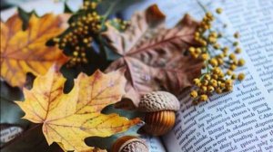 Истории из жизни Неожиданная встреча в поисках прошлого...