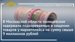 В Московской области полицейские задержали подозреваемых в хищении товаров у маркетплейса