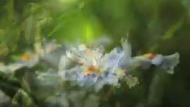 biotop смотреть онлайн