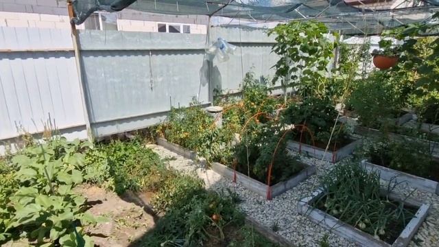 Сад и Огород в ИЮЛЕ. Станица НАТУХАЕВСКАЯ.#переезднаюг#садогород