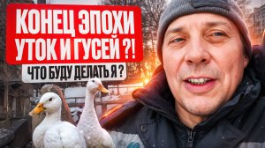 Я В ШОКЕ! 😱 Моя стратегия выживания после новых ВетПравил по птицеводству в 2025 году🤫 #МоеПодворь