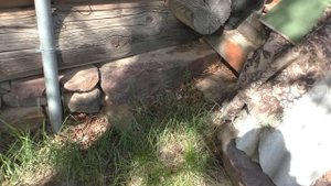 Маленькая старинная деревня. Жилая деревня с заброшенными домами. Деревни в глубинке России.