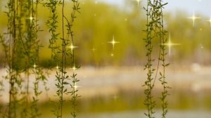 Трансерфинг Реальности в 10 минут: Основы и Навигация. Краткое углубление в трансерфинг реальности