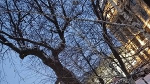 городские зарисовки  снег идет метель,