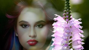 Диана Анкудинова,нежность,relax.