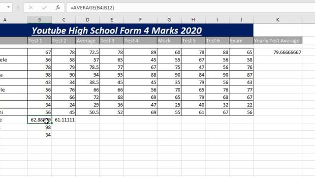 6. IGCSE ICT - Data Analysis - Function (INT, ROUND)