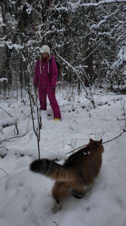 Плюха не изменяет своим привычкам.