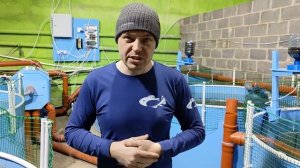Как посчитать объем УЗВ исходя из площади помещения  #узв #рыба #акварост