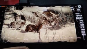 Test Red Magic 9 Pro: Red Dead Redemption 2 || mobox Wow64 (Snap 8 Gen 3) NOT playable