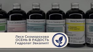 Леся Скоморохова Осень в радость. Гидролат Эвкалипт