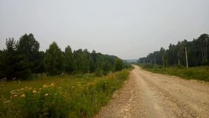 К бердовке