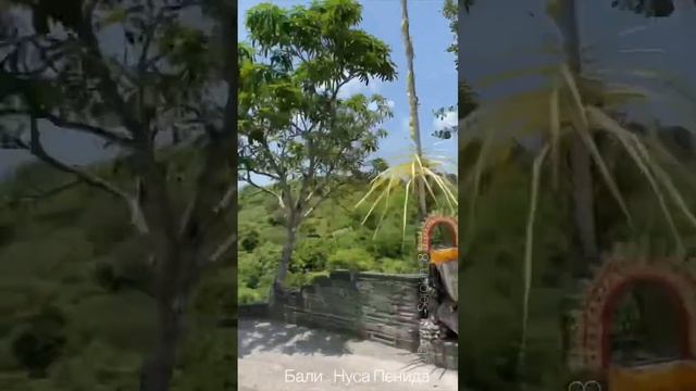 #nusapenida #indonesia #nusapenidatour #nusapenidabali #индонезия #bali #бали #nature #природа