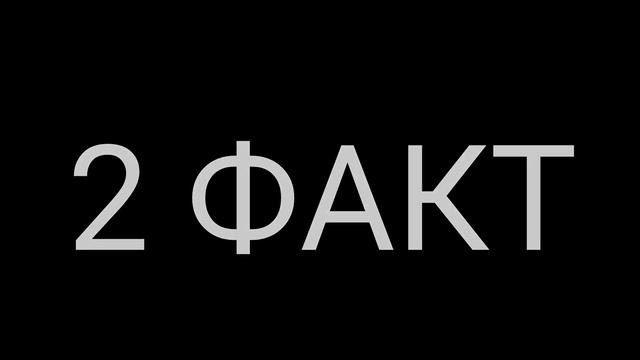 5 ФАКТОВ, ПОЧЕМУ ТОПСИ ЛУЧШЕ ФЛОКИ