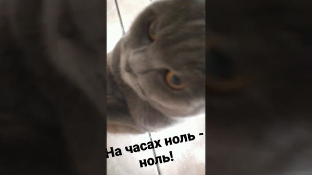 НА ЧАСАХ НОЛЬ - НОЛЬ!