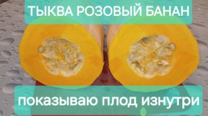 Обзор тыквы РОЗОВЫЙ БАНАН