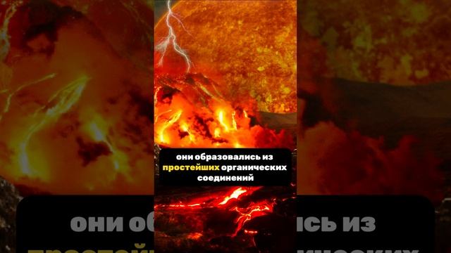Как появилась жизнь  на Земле???  факты космос земля жизнь  звезды наука  интересныефакты