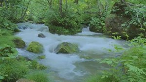 2539545-hd_1280_720_30fps