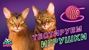 Тестируем игрушки вместе с котиками - Кусь - шоу - ТОП игрушек для котов