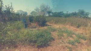 Старинные надгробья в Прочноокопской