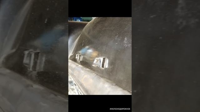 #железнодорожное - Чайка на железнодорожном ходу