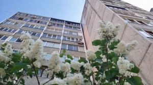 Солнечный трамвай ( А.Злотник - И.Лазаревский) из репертуара ВИА Здравствуй песня
