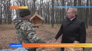 В рузаевский парк поселили белок