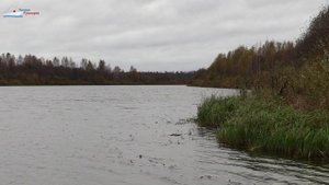 Осень, Наталья Петрова, р.Кострома