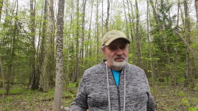 США. Как я туда попал. Первые впечатления. Дом типичной американки.