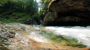 5590450-uhd_3840_2160_30fps