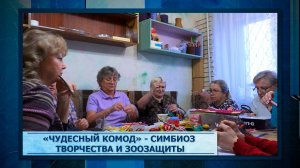 «Чудесный комод» - симбиоз творчества и зоозащиты