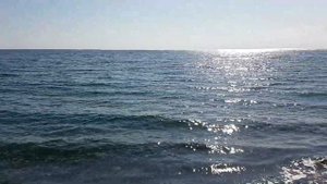 Партенит 2019