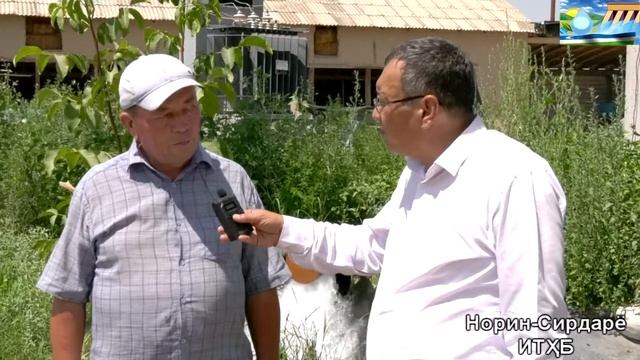 ТОМЧИЛАТИБ СУҒОРИШ АФЗАЛЛИКЛАРИ смотреть онлайн