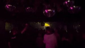 Alexandr Alar @ Botanica party bar